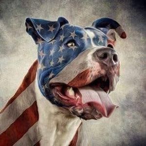 Meet your Posher, Jerry n april